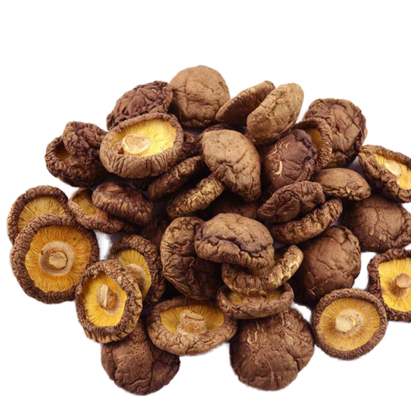 Shiitake Mushroom Supplier - Dehydrated Organic Freeze Dried