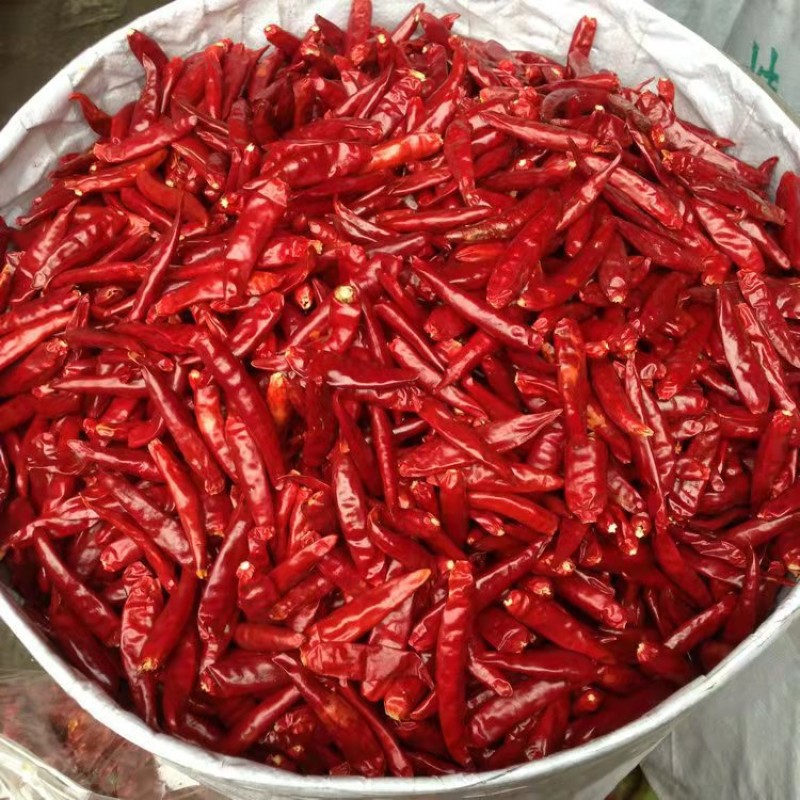 Chili Peppers Supplier - Organic Red Dried China Wholesale