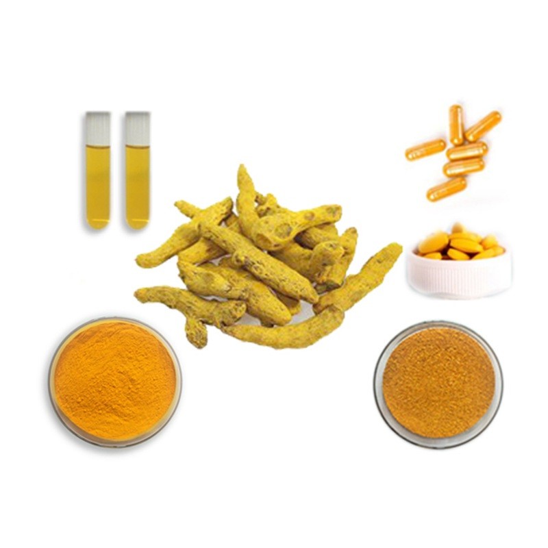 Turmeric Curcumin Supplier - Organic 2% Premium Natural