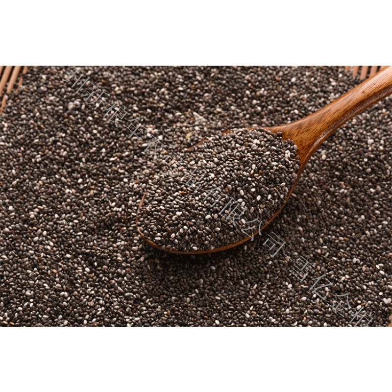 Chia Seeds Supplier - Organic Chinese Made Direct Supply