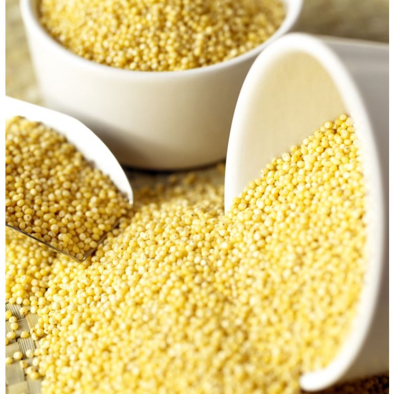 Mixed Grain Manufacturer - Five Finger Yellow Affordable