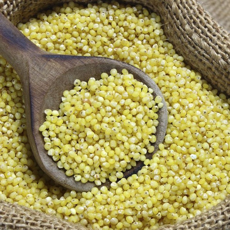 Mixed Grain Manufacturer - Five Finger Yellow Affordable