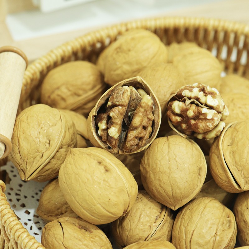Walnut Kernels Supplier - Highest Grade Healthy Dried