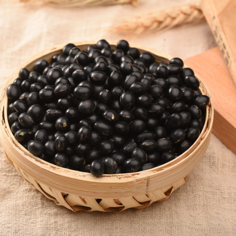 Soybean Supplier - Dried Black High Quality Price
