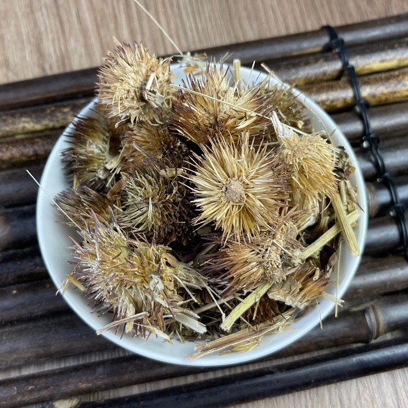 Echinacea Root Tea Supplier - Wildcrafted Immune Health Herbal