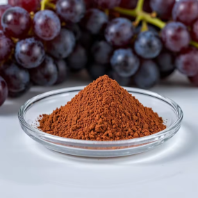 Grape Seed Extract Manufacturer - 98% OPC Dietary Supplement