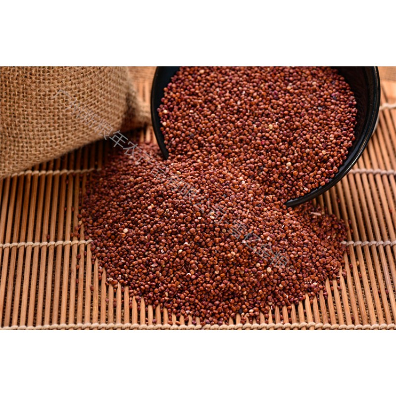 Quinoa Rice Manufacturer - Puffed Tri Color Superior Quality