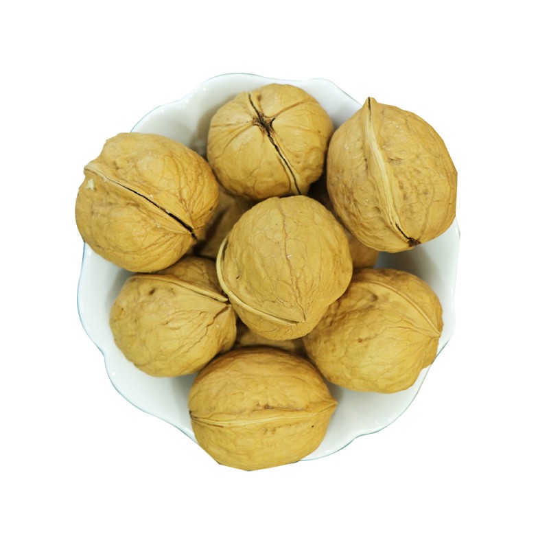 Walnut Kernels Supplier - Highest Grade Healthy Dried