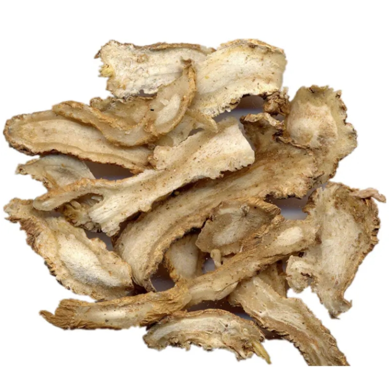 Angelica Root Supplier - Organic Radix Sinensis Single Herb