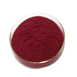 Black Currant Extract Manufacturer - 25% Anthocyanins Organic