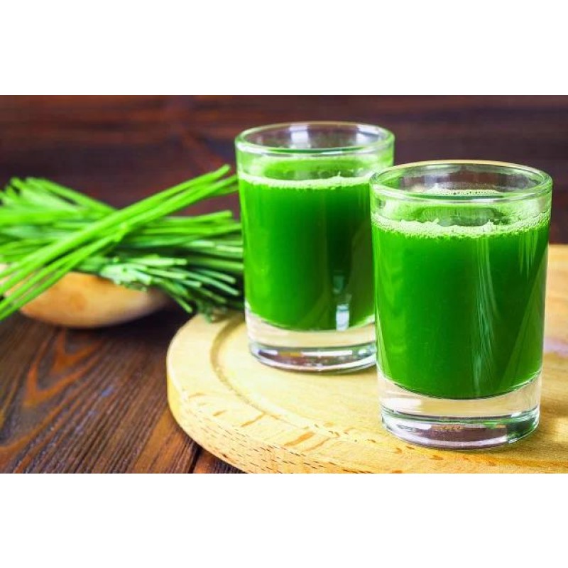 Barley Grass Powder Manufacturer - Young Leaf Herbal Supplement