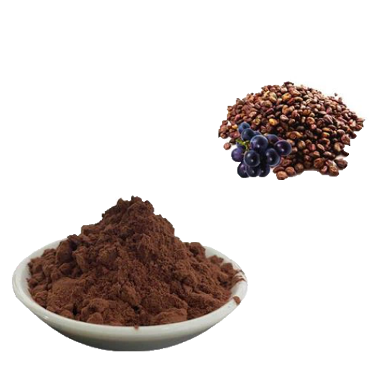 Grape Seed Extract Supplier - Premium Plant Extract Bulk
