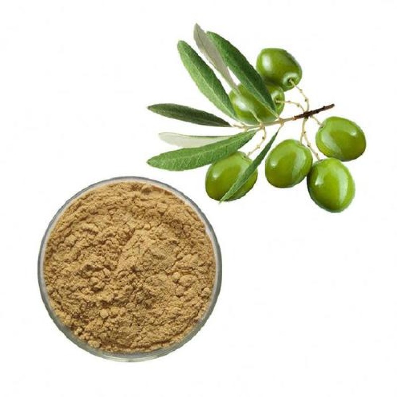 Olive Leaf Extract Supplier - Natural Powder Drum Packaging