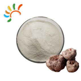 Konjac Powder Factory - 98% Glucomannan Soluble Fiber