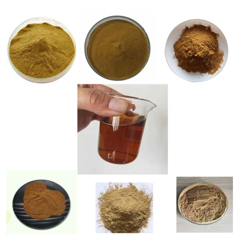 Daidai Flower Extract Supplier - Citrus Botanical Cosmetic