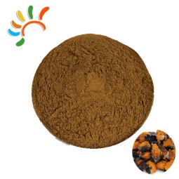 Chaga Mushroom Powder Factory - Food Grade Herbal Extract