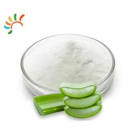 Aloe Extract Powder Factory - 100:1 200:1 Concentrated