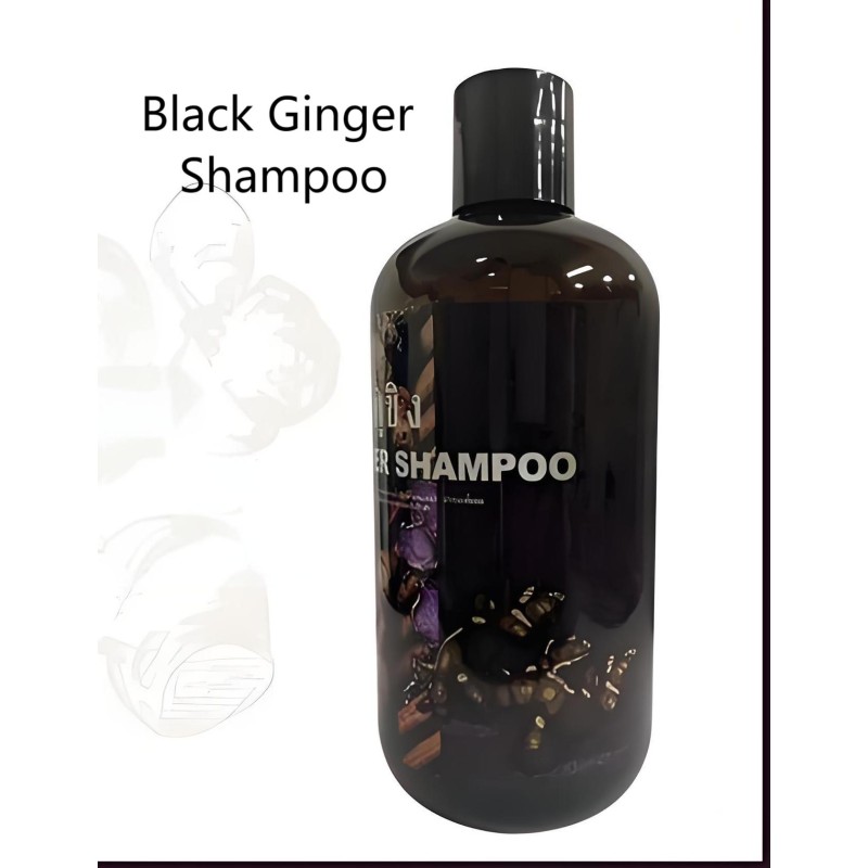 Black Ginger Powder Factory - High Gingerols Antioxidant