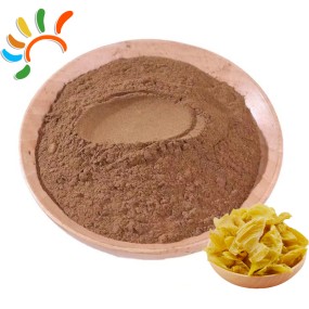 Chicken Gizzard Extract Factory - Natural Digestive Aid