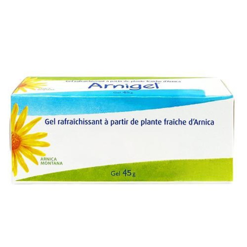 Arnica Powder Supplier - Natural Montana Flower Extract