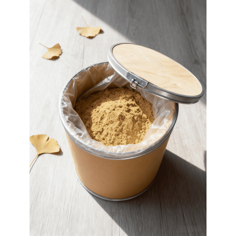 Ginkgo Biloba Powder Factory - Fruit Extract Food Grade