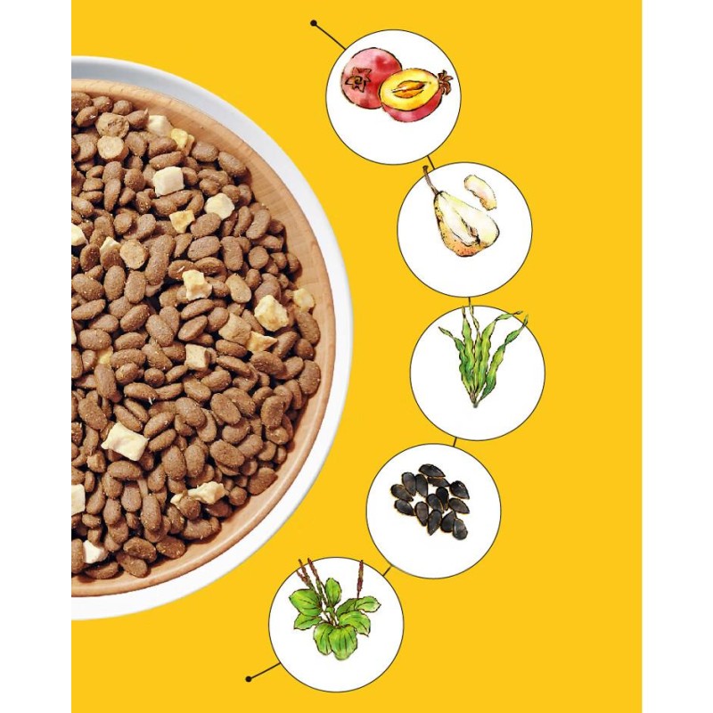 Seaweed Powder Manufacturer - Ocean Mineral Herbal Extract