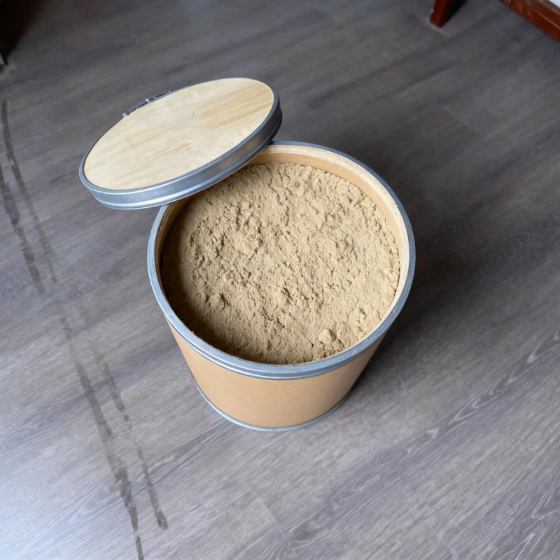Notoginseng Powder Manufacturer - 80% Saponins Fruit Extract