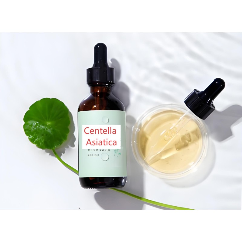 Centella Extract Factory - 80% Asiaticosides Quality