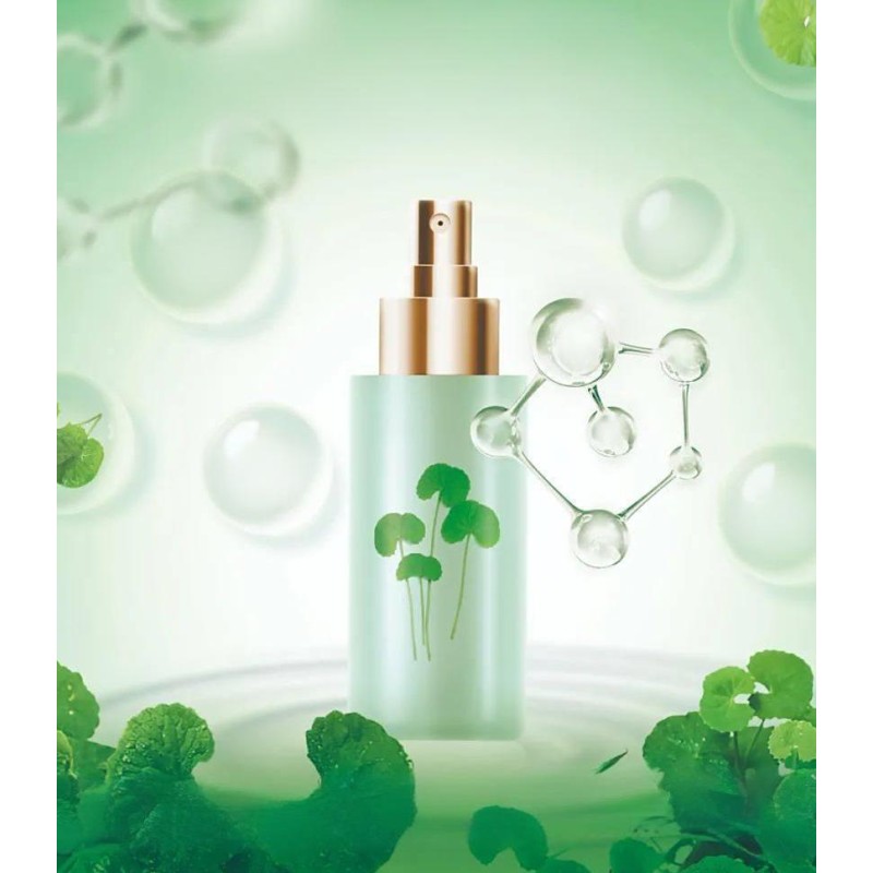 Centella Extract Manufacturer - 10:1 Asiaticoside Rich