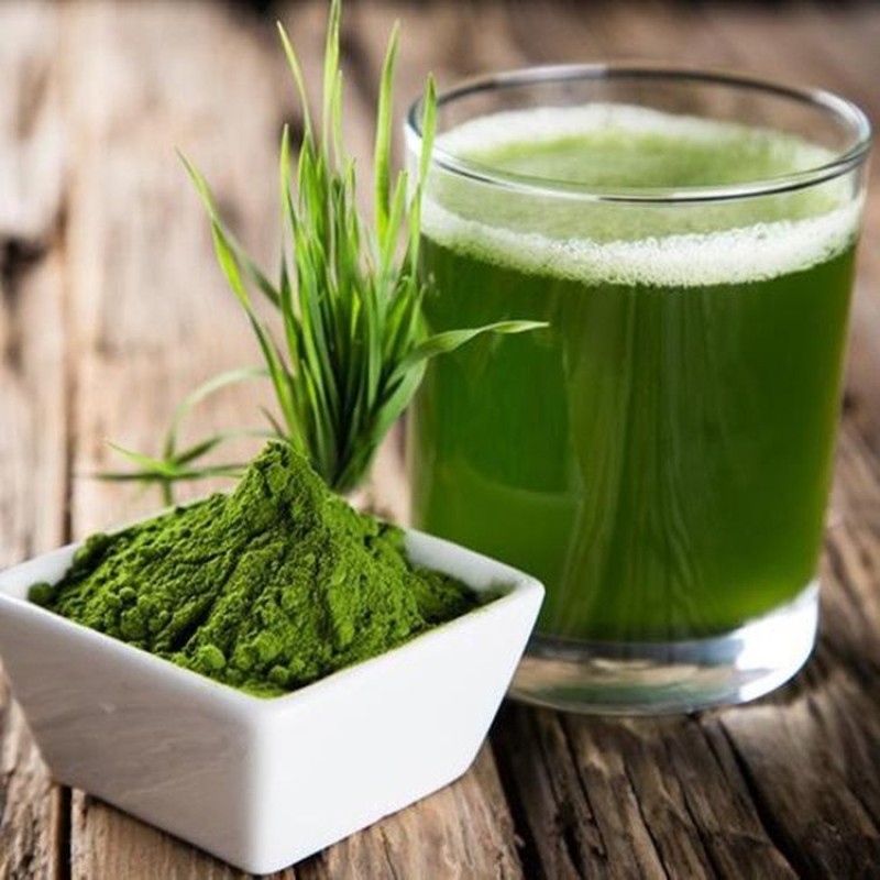Wheatgrass Powder Supplier - Food Grade Superfood Extract