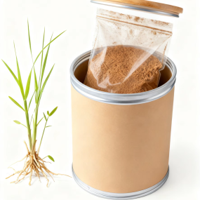 Costus Root Extract Supplier - 5:1 Radix Aucklandiae Fresh