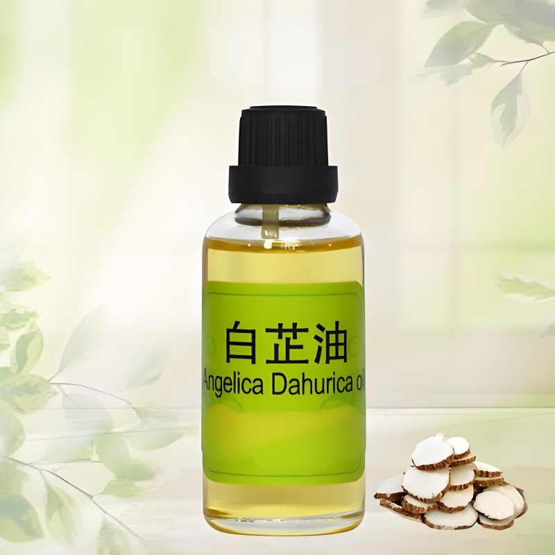 Angelica Extract Supplier - Bai Zhi Root Plant Extract