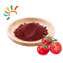 Lycopene Powder Manufacturer - 10% Plant Extract Custom