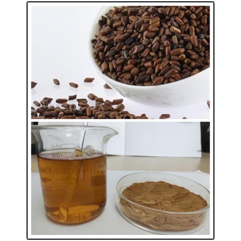 Cassia Seed Extract Supplier - Natural Plant Food Beverage