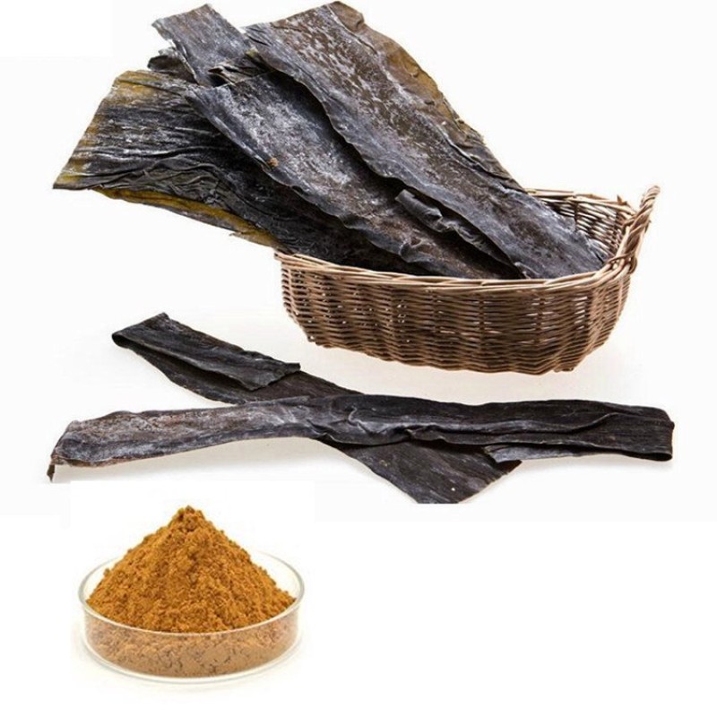 Kelp Extract Manufacturer - Natural Seaweed Food Health