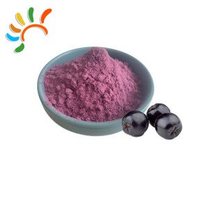 Aronia Berry Extract Manufacturer - Concentrated Berry Powder
