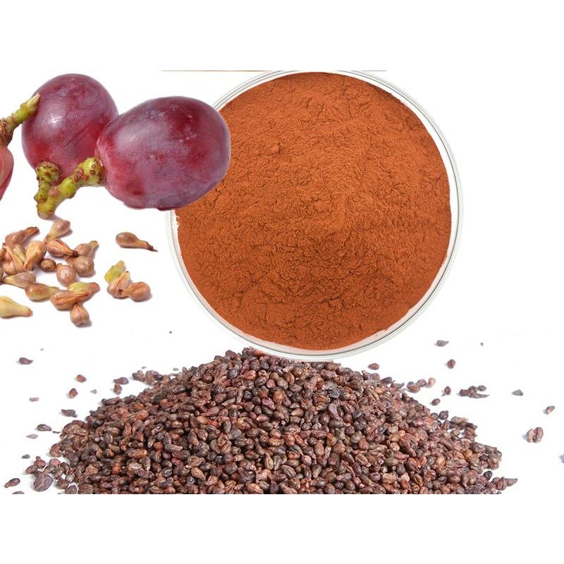 Grape Seed Extract Factory - 95% OPC Polyphenol Bulk