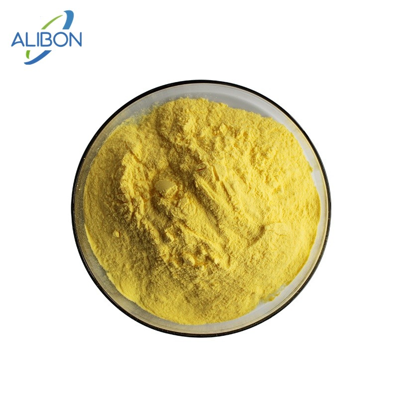 Best Quality Mango Juice Powder Mango Fruit Powder
