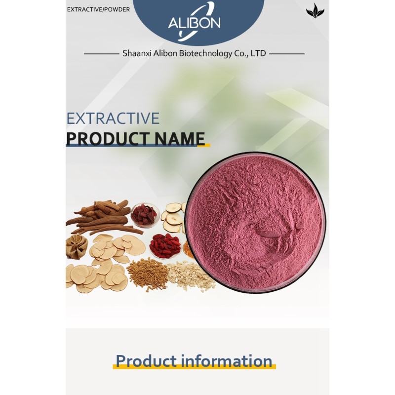 Hot Selling Papaya Juice Powder Papaya Fruit Juice Powder