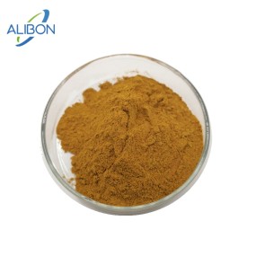 Top Selling Astragalus Extract Astragalus Root Extract