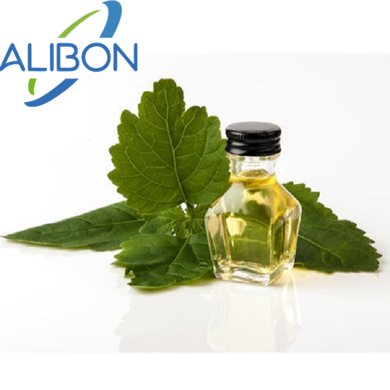 Top Selling Free Sample Patchouli Oil Patchouli Essential Oil