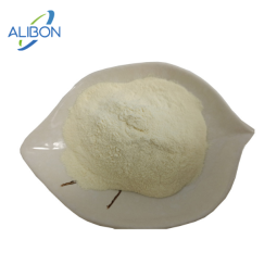 Factory Supply Wholesale Food Enzyme Bromelain Powder