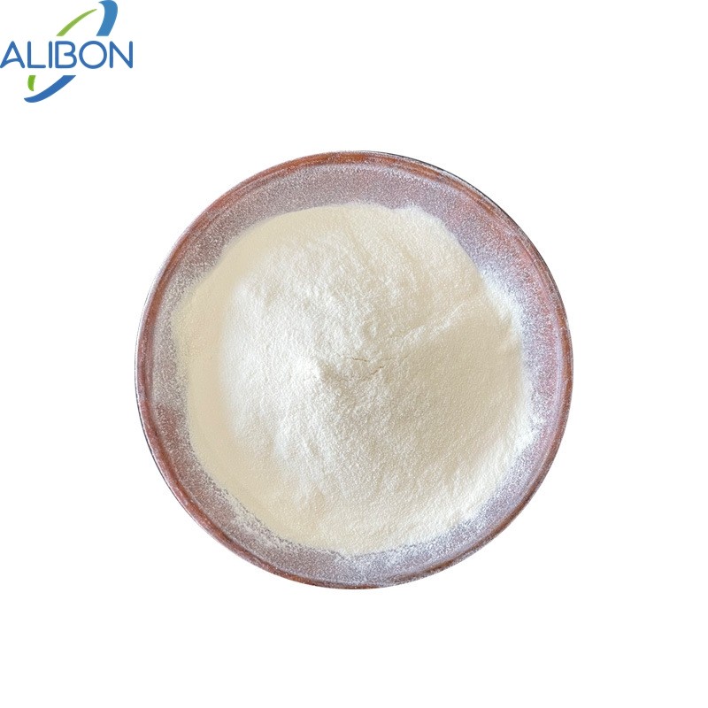 Wholesale Natural Sweeter Organic 100% Pure Monk Fruit Extract Mogroside V