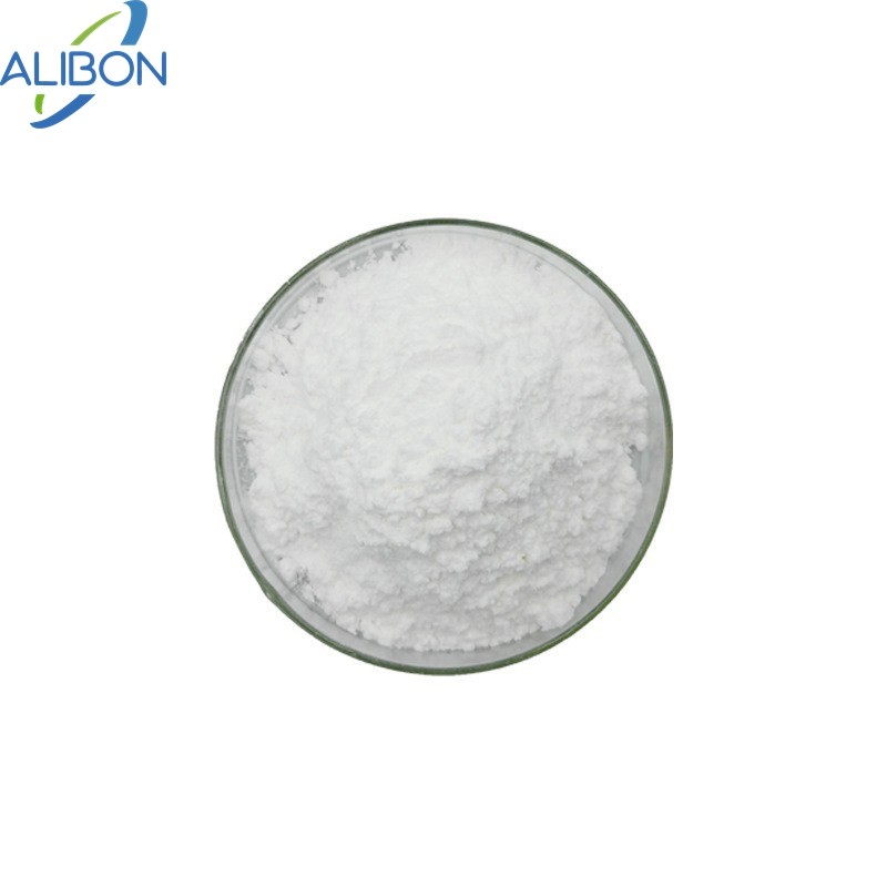 Top Quality Glutamic Acid Powder Wholesale Bulk Food Grade L-glutamic Acid