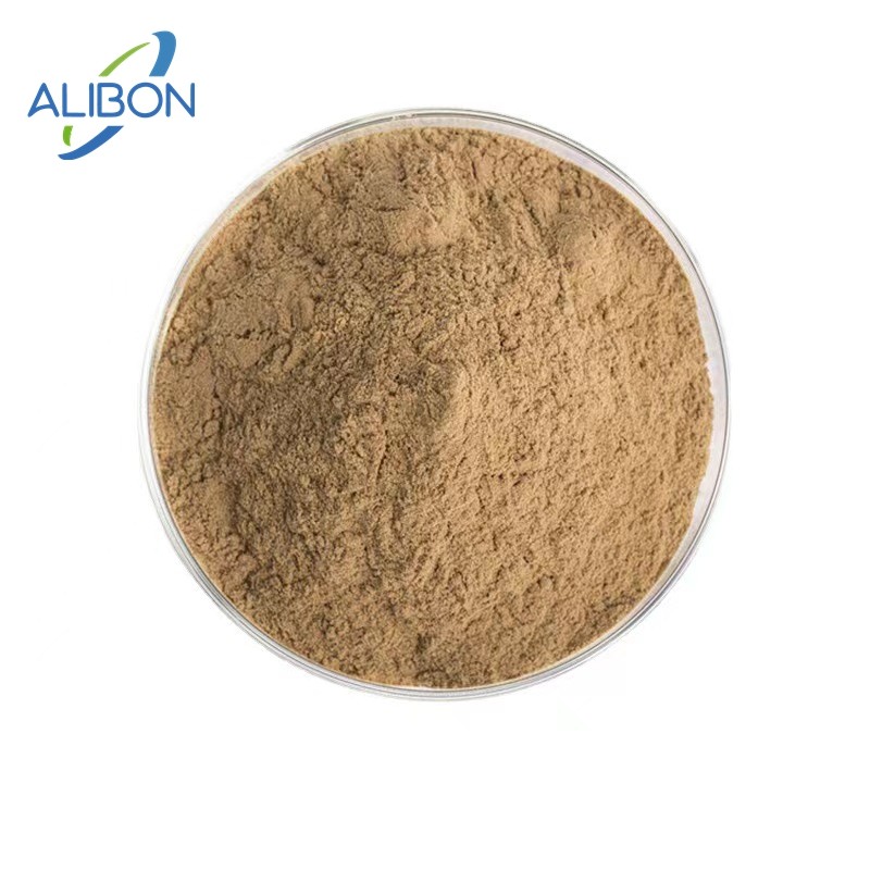 High Quality Gynostemma Pentaphyllum Extract Powder 10:1