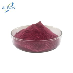 Factory Supply Food Grade Natural Grape Juice Powder