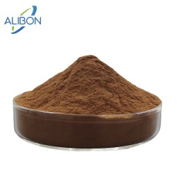 Factory Supply Purslane Extract Bulk Purslane Herbs Extract