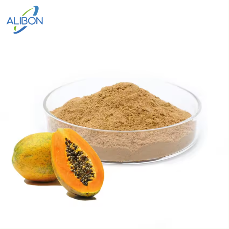Hot Selling Papaya Juice Powder Papaya Fruit Juice Powder