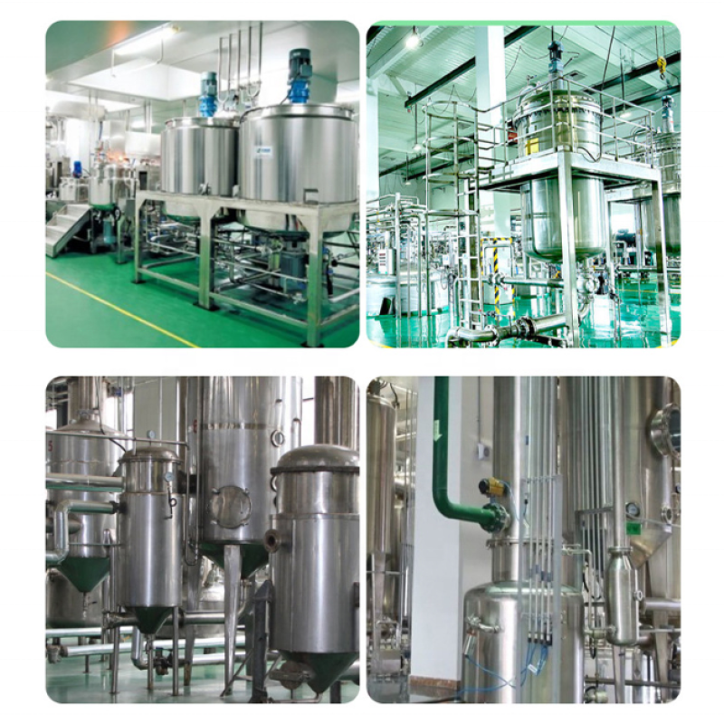 Alibon Supply Natural Reishi Mushroom Extract Water Soluble Ganoderma Lucidum Extract 30% Polysaccharide