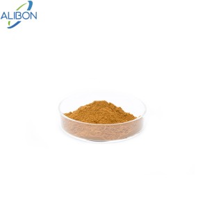 Alibon Supply Natural Reishi Mushroom Extract Water Soluble Ganoderma Lucidum Extract 30% Polysaccharide